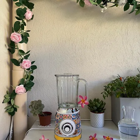 Victor Hugo Saint-Raphaël